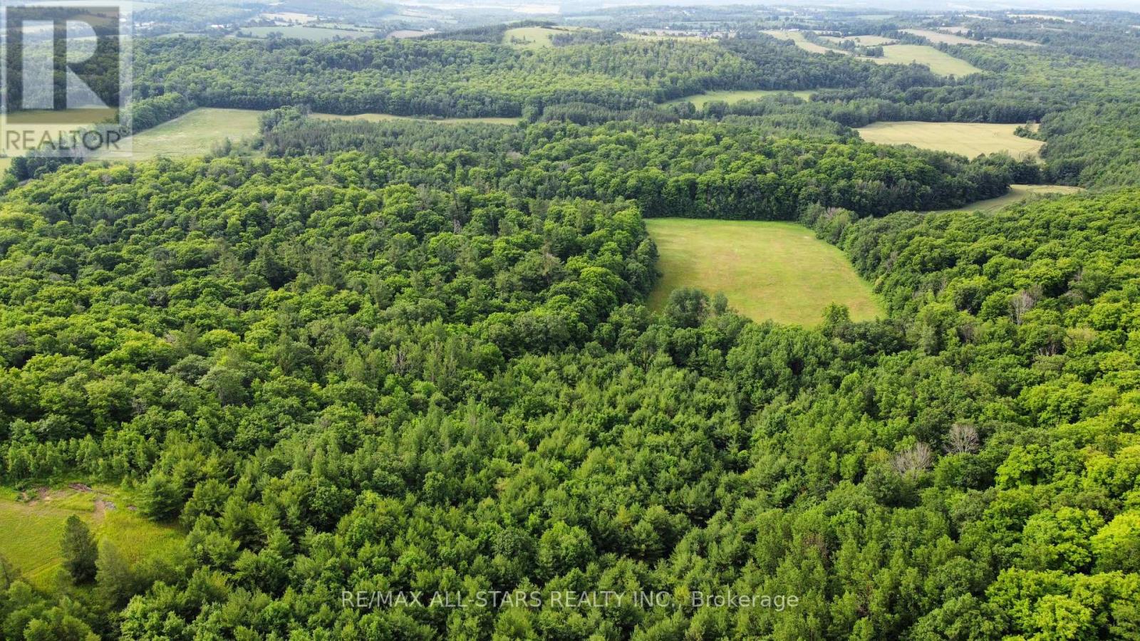 283 Bland Line, Cavan Monaghan, Ontario  L0A 1C0 - Photo 8 - X12028861