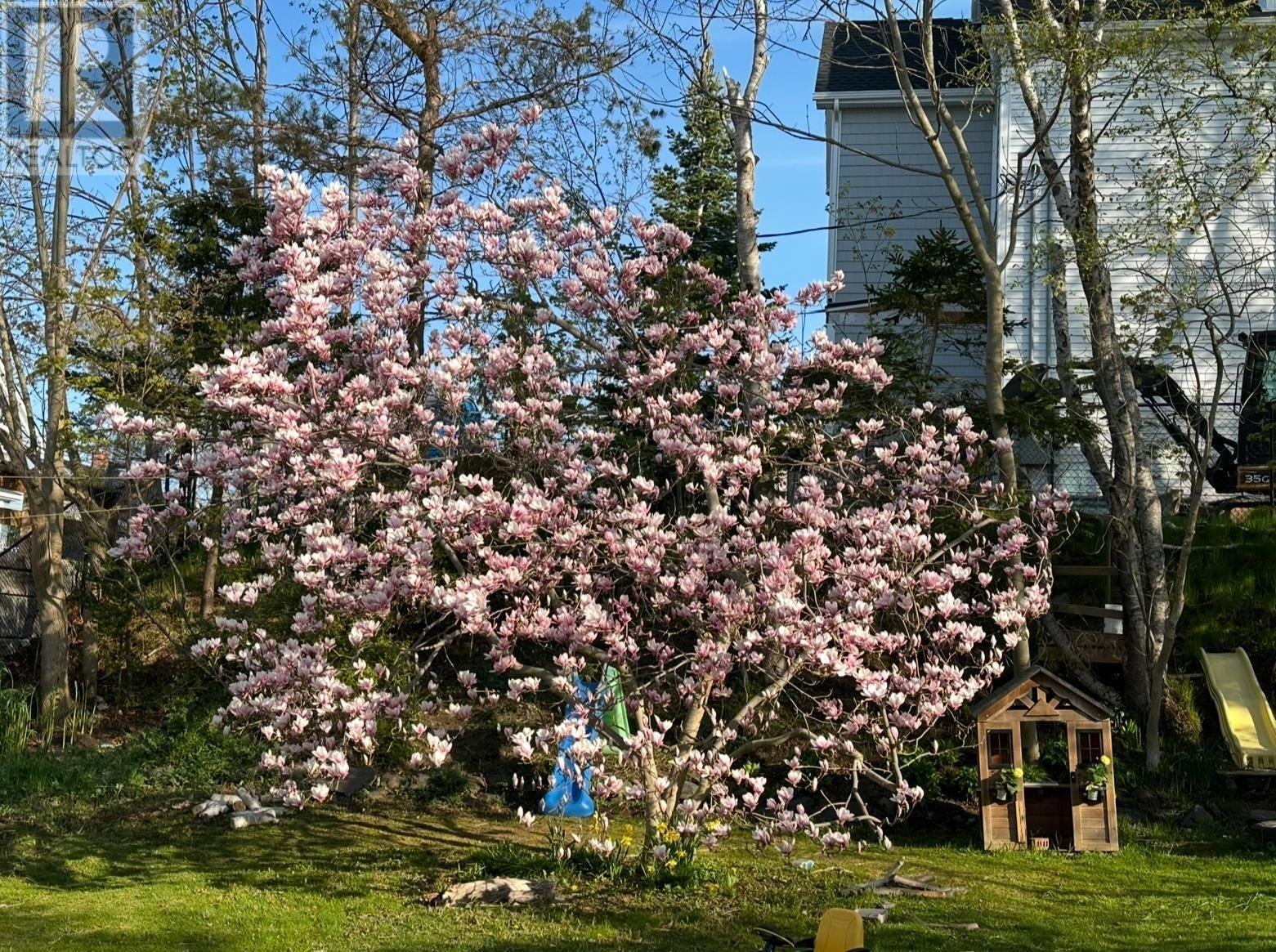 5838 Pine Hill Drive, Halifax, Nova Scotia  B3H 1E5 - Photo 43 - 202505284