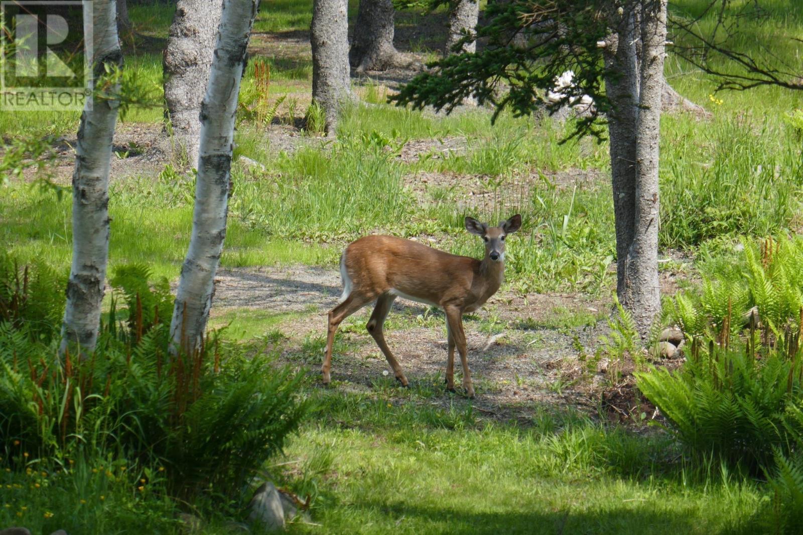 63 Old Litchfield Wharf Road, Litchfield, Nova Scotia  B0S 1A0 - Photo 47 - 202501235