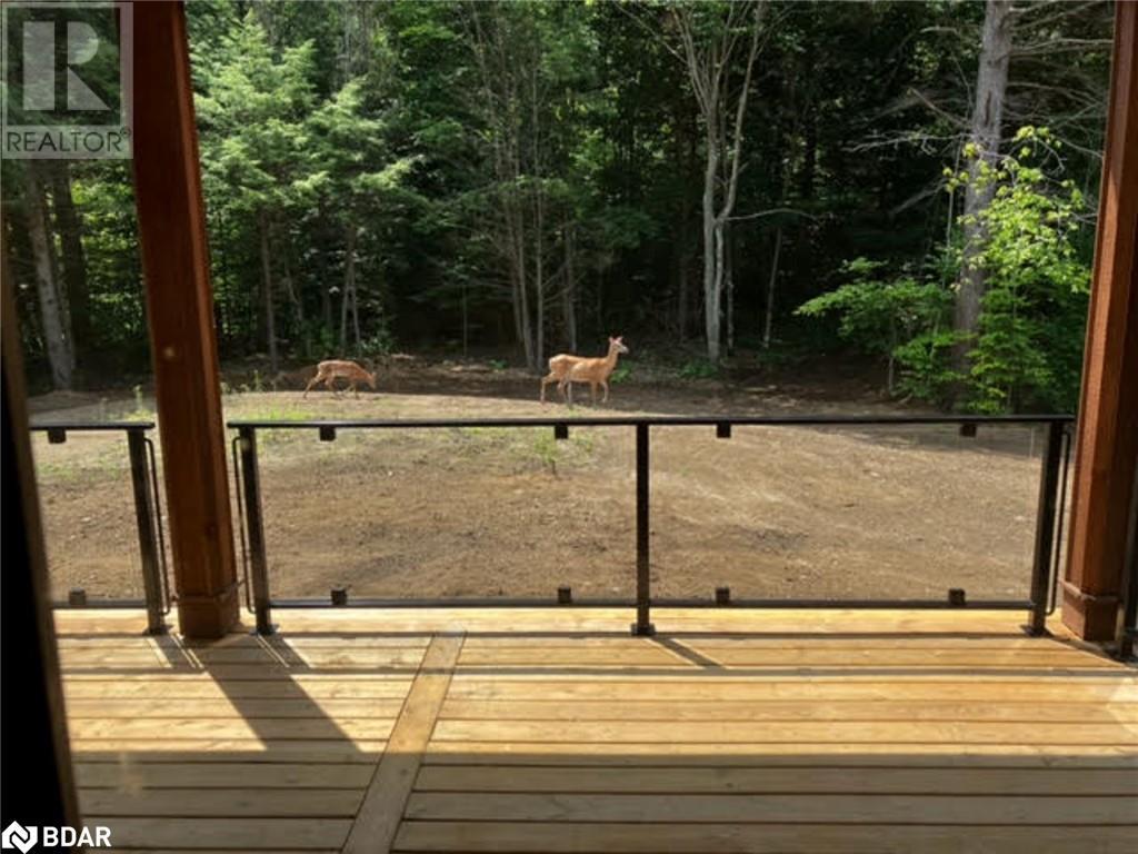 4571 Aspdin Road, Utterson, Ontario  P0B 1M0 - Photo 24 - 40708275