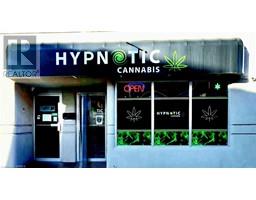 116 DALHOUSIE Street, Brantford, Ontario