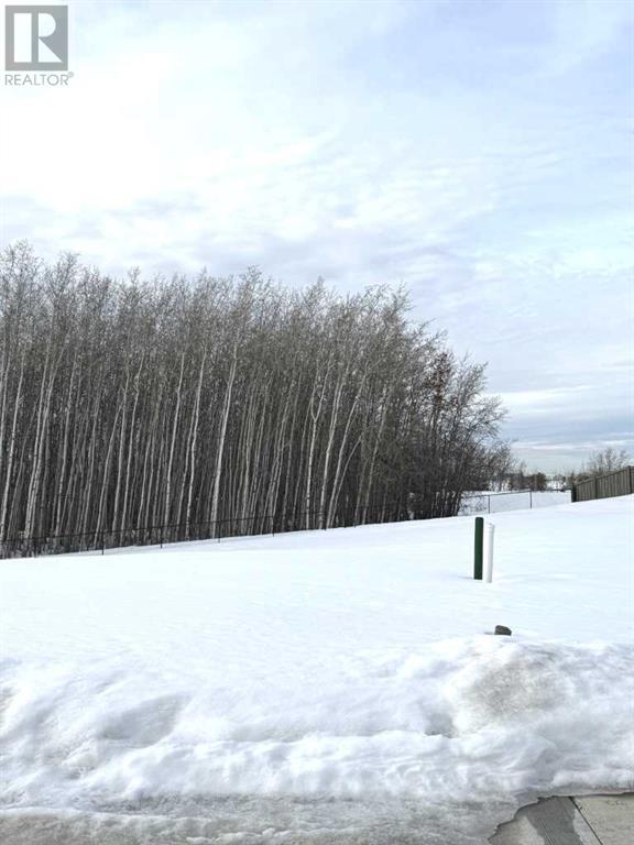 11941 81 Avenue, Grande Prairie, Alberta  T8W 0M7 - Photo 1 - A2203915