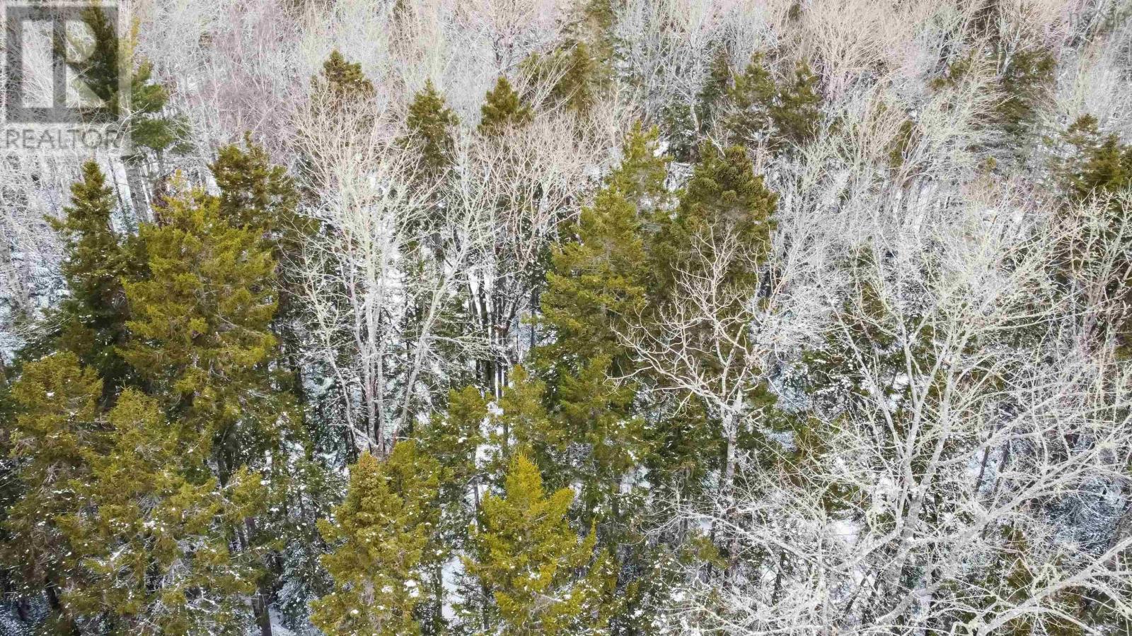 Lot A30 Bayswater Drive, Cheverie, Nova Scotia  B0N 2A0 - Photo 6 - 202505321