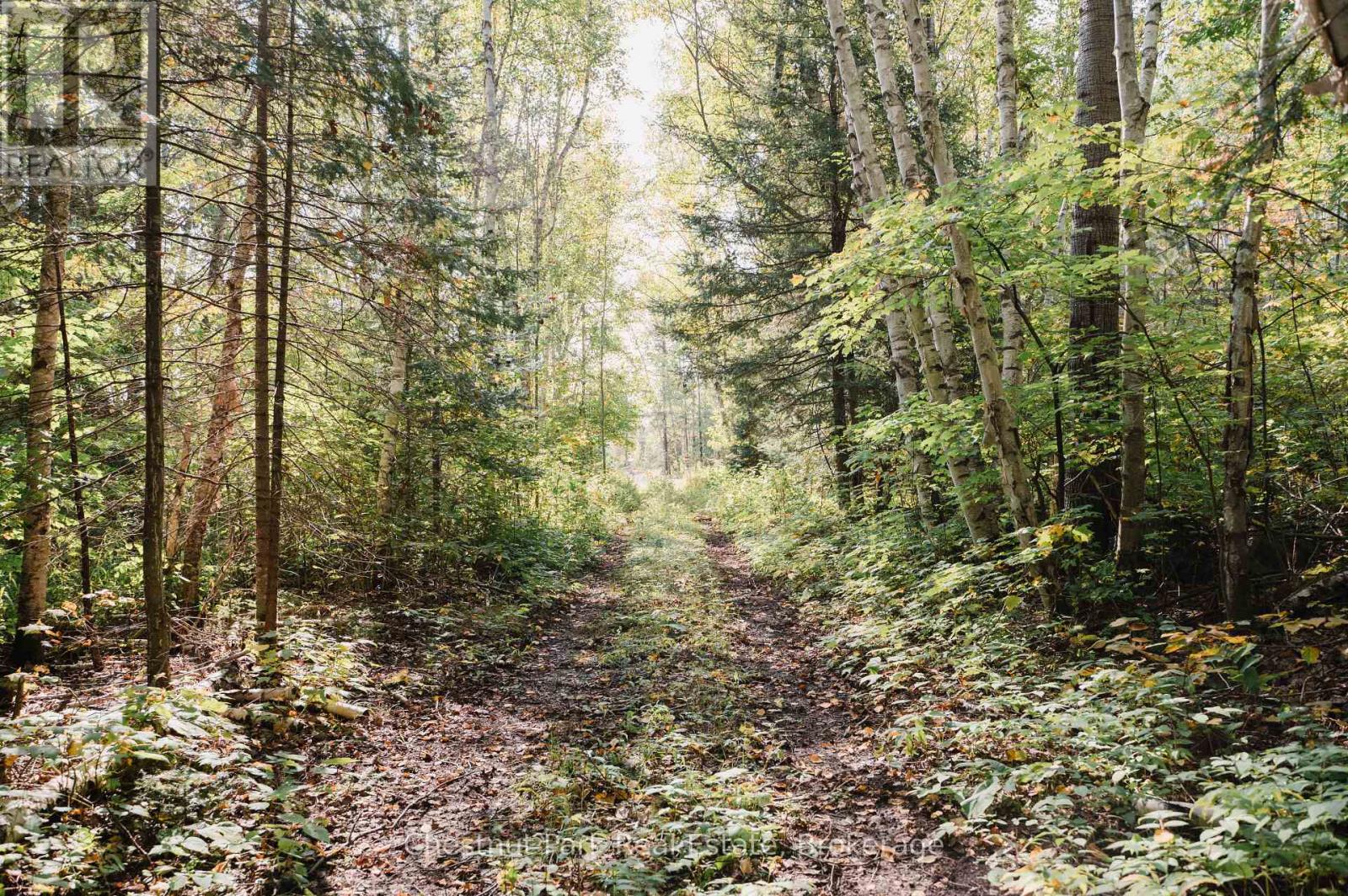 445 Fox Run, Temagami, Ontario  P0H 2H0 - Photo 17 - X12030175