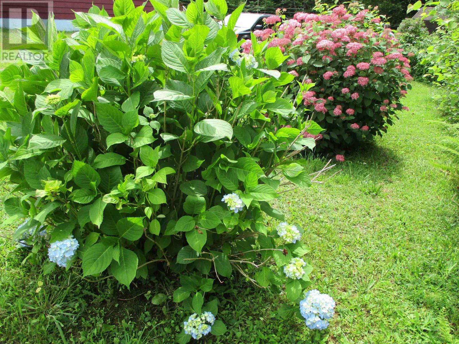 2282 Patrice Road Road, Concession, Nova Scotia  B0W 1M0 - Photo 45 - 202504857