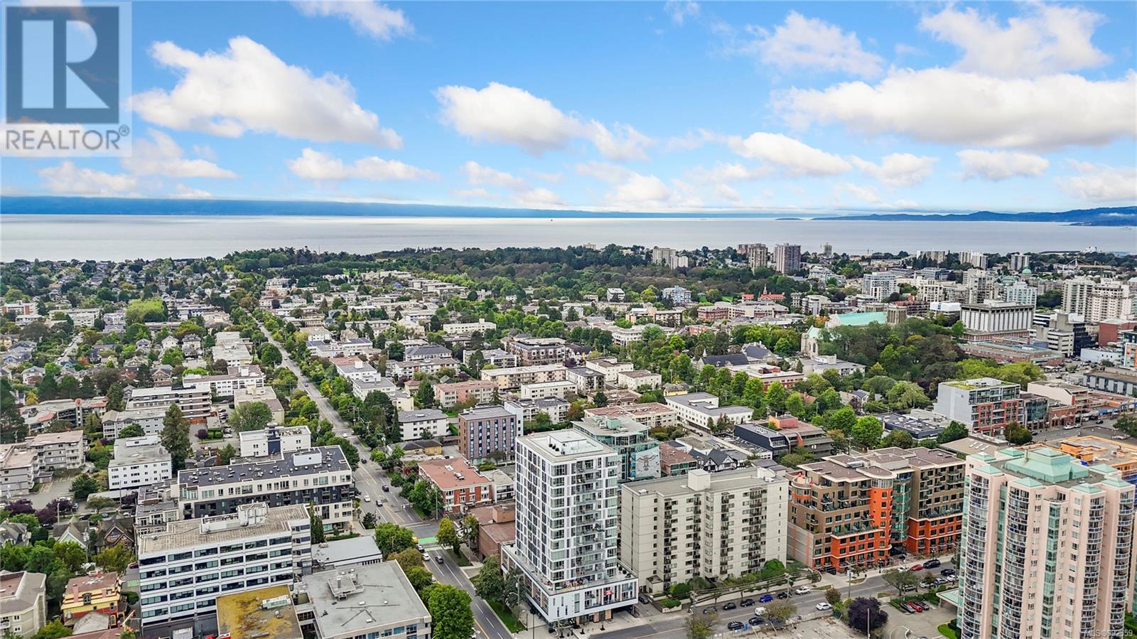 202 1150 Cook St, victoria, British Columbia V8V3Z9