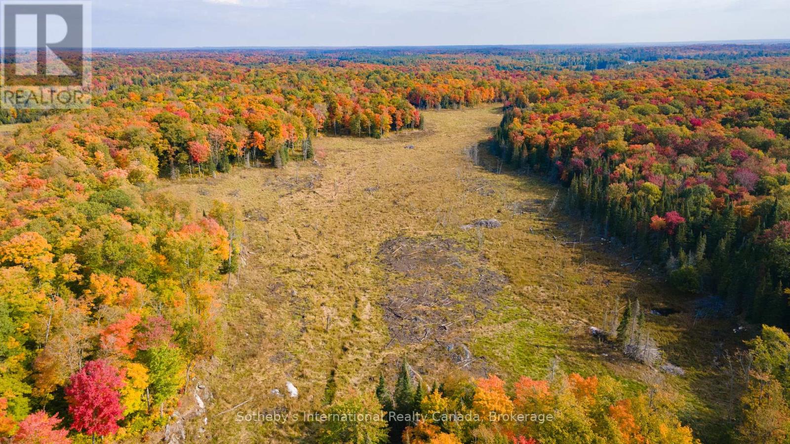 17 Pauls Bay Road, Mcdougall, Ontario  P2A 2W7 - Photo 9 - X12030403