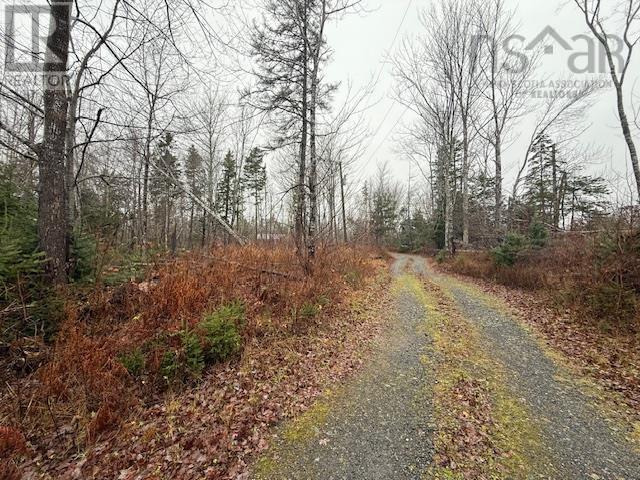 873 Loch Broom Loop Road, Loch Broom, Nova Scotia  B0K 2A0 - Photo 35 - 202427341