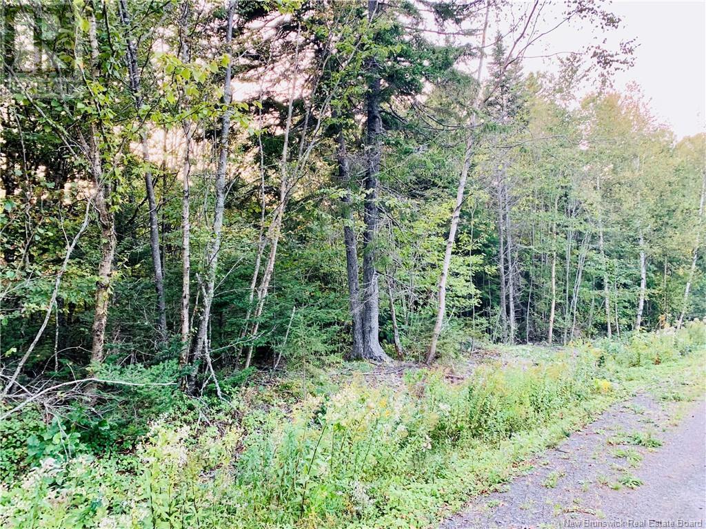 85-41 Bunker Hill Road, Wilsons Beach, New Brunswick  E5E 1M3 - Photo 2 - NB114450