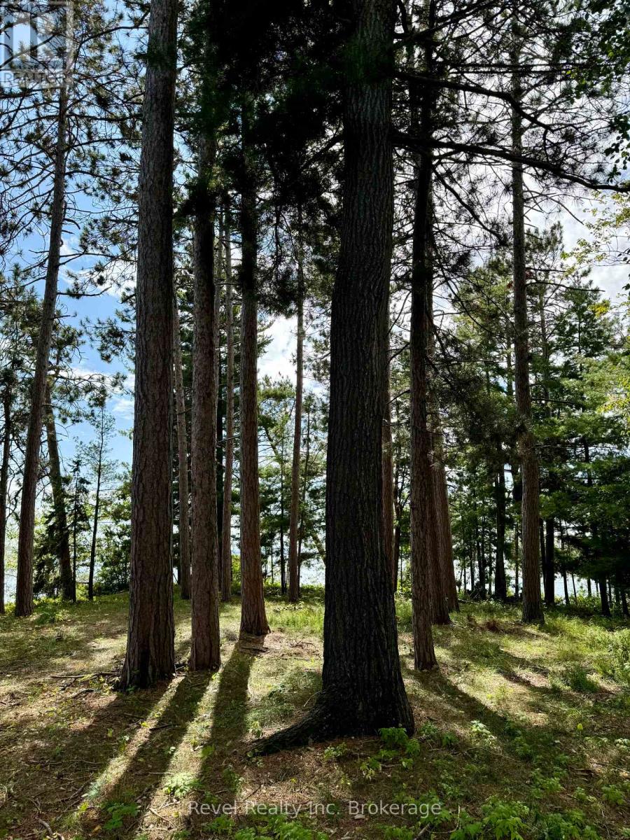 20 Mowat Crescent, North Bay, Ontario  P1A 1R5 - Photo 10 - X12030681