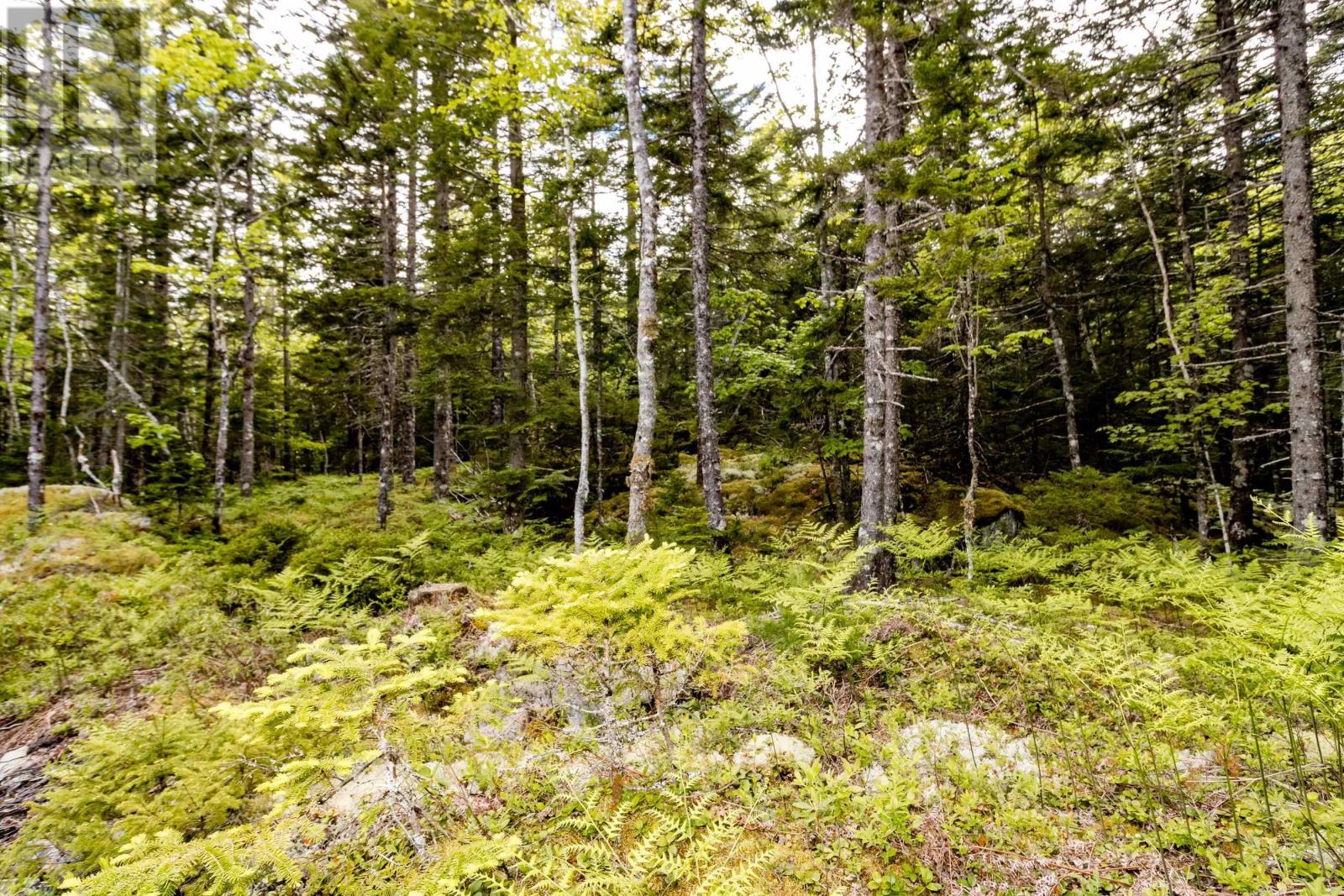 Lot 67 White Tail Pass, Vaughan, Nova Scotia  B0N 2T0 - Photo 2 - 202505349