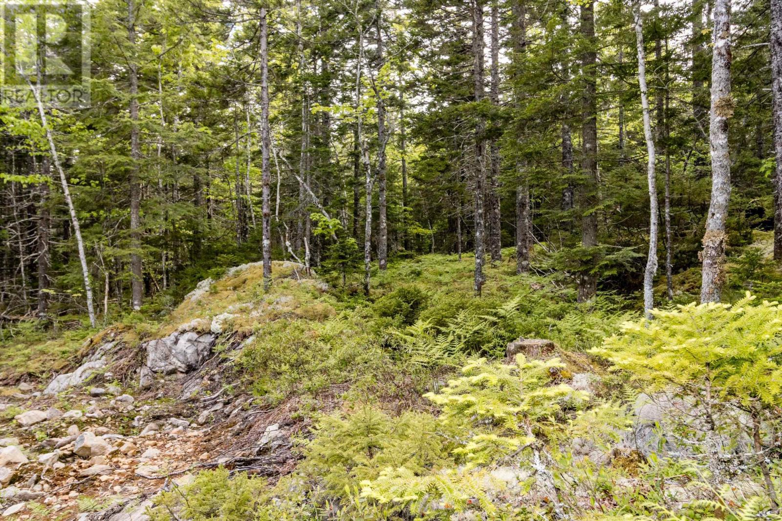 Lot 67 White Tail Pass, Vaughan, Nova Scotia  B0N 2T0 - Photo 4 - 202505349