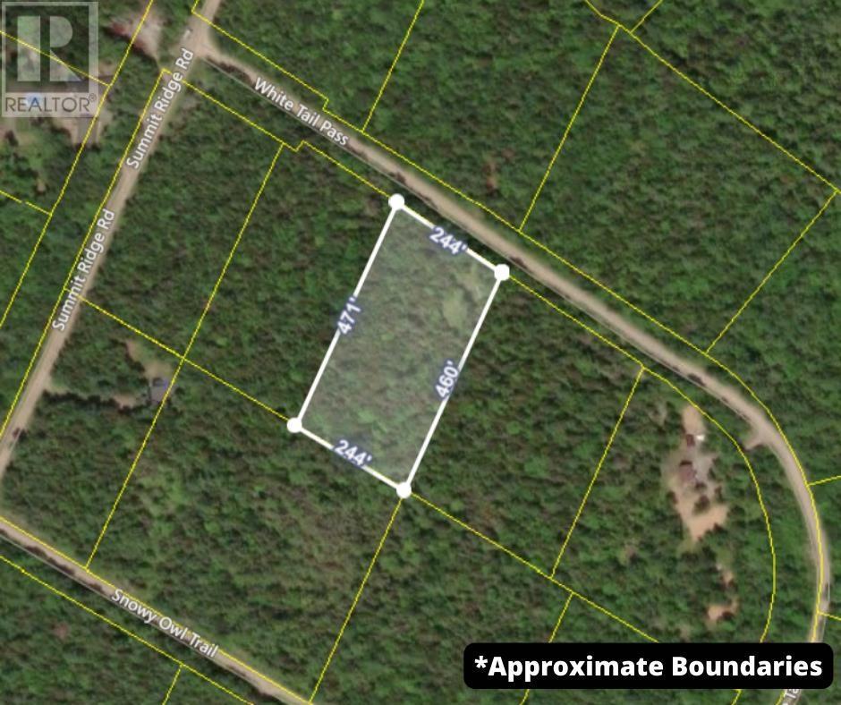 Lot 68 White Tail Pass, Vaughan, Nova Scotia  B0N 2T0 - Photo 31 - 202505350