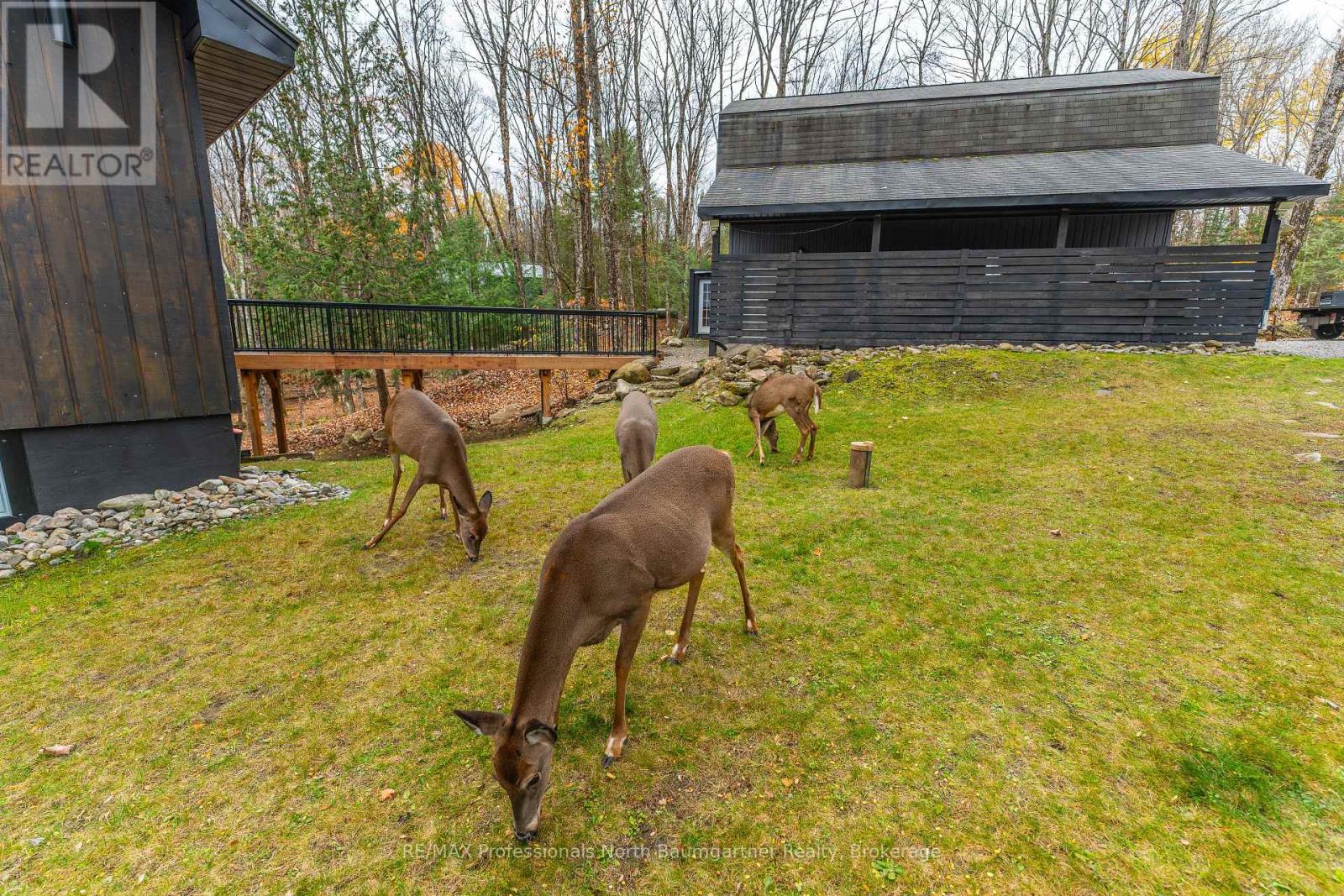 1035 Graydon Lane, Dysart Et Al, Ontario  K0M 1S0 - Photo 34 - X12029422