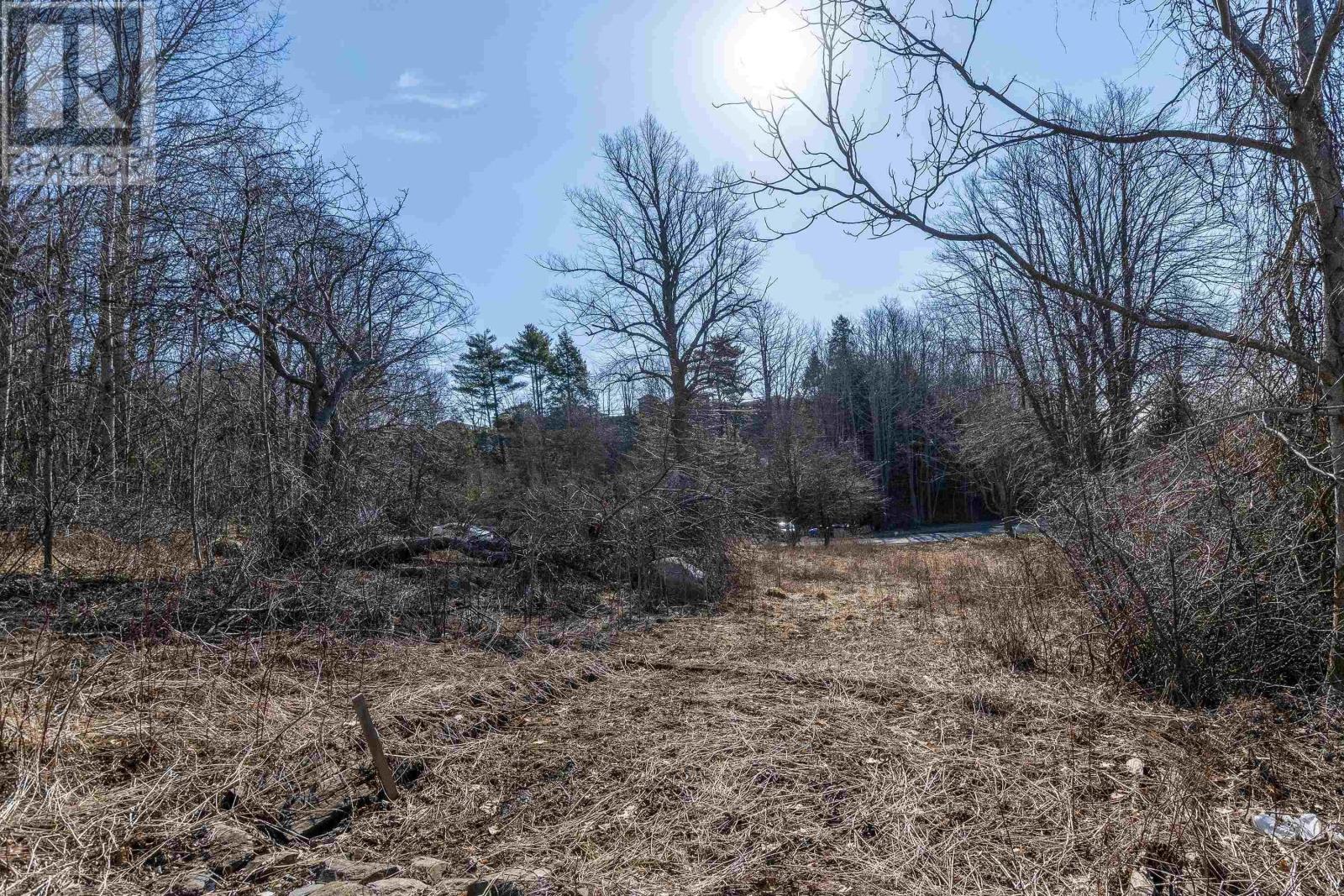 793 Lahave Street, Bridgewater, Nova Scotia  B4V 2V2 - Photo 3 - 202505336