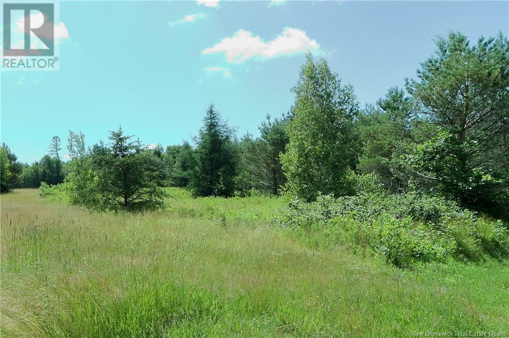 Lot 95 Main Street, Chipman, New Brunswick  O0O 0O0 - Photo 2 - NB114467