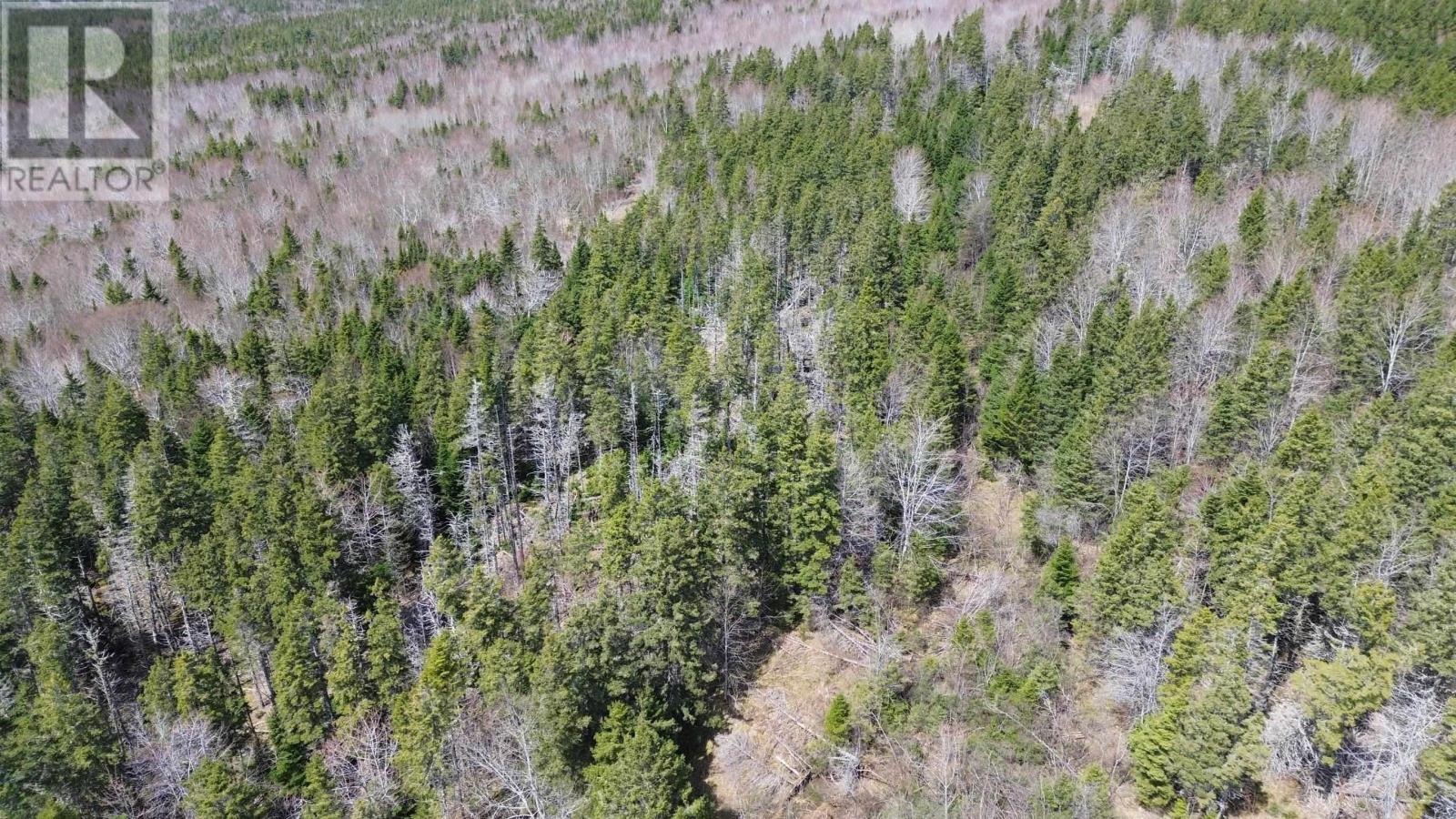 Lorem Ipsum Dolo, Port Hastings, Nova Scotia  B0E  - Photo 3 - DEMO27592467