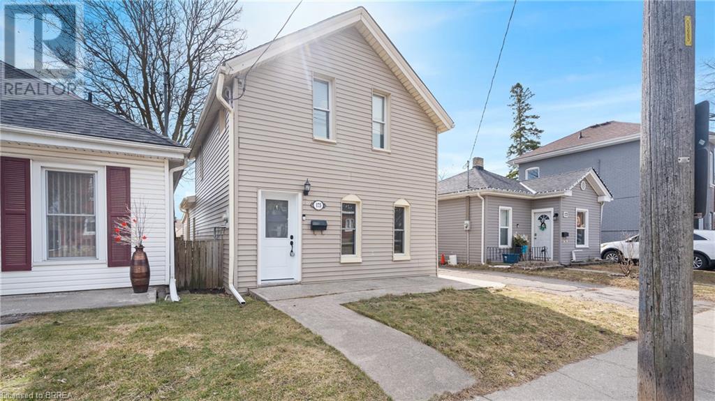 Property at 175 SYDENHAM Street image 2
