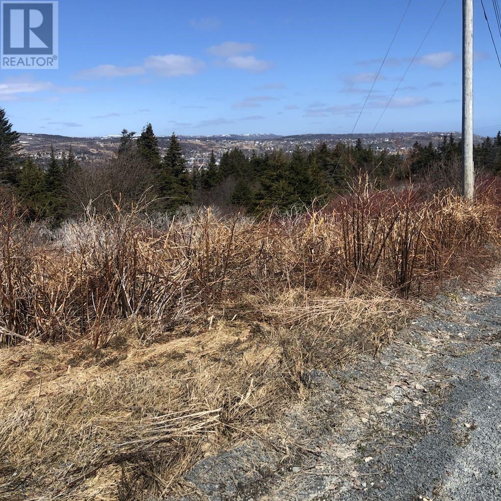 0 Clarkes Road, Carbonear, Newfoundland & Labrador  A1Y 1A6 - Photo 8 - 1282719