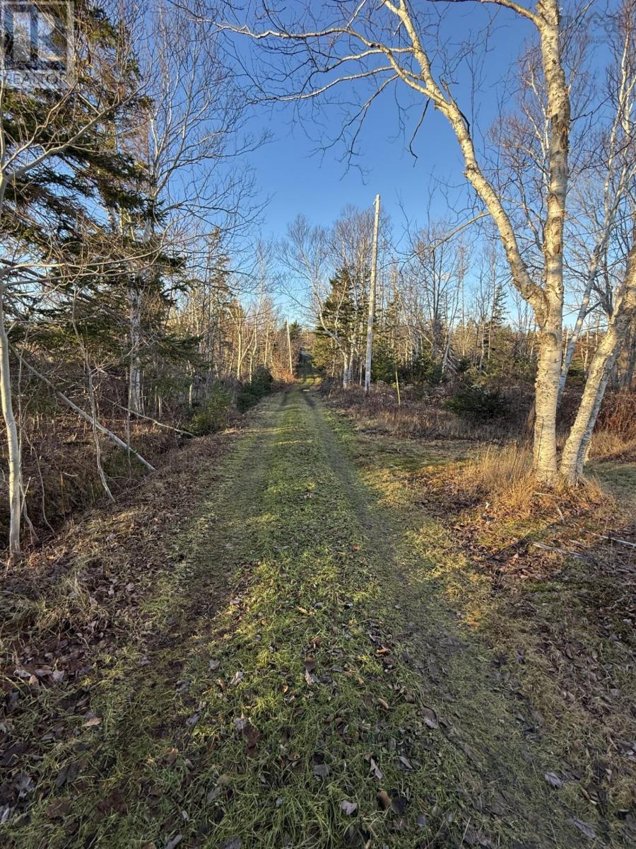 5114 Highway 337, Cape George, Cape George, Nova Scotia  B2G 2L2 - Photo 7 - 202505384