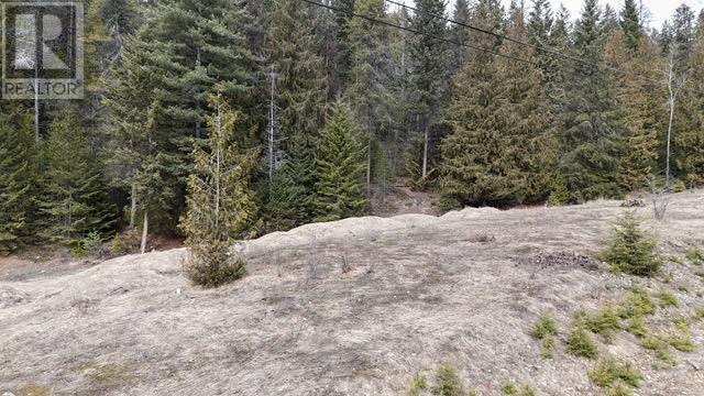 1101 Bear Brook Road, Arrow Creek, British Columbia  V0B 1G8 - Photo 5 - 10339815