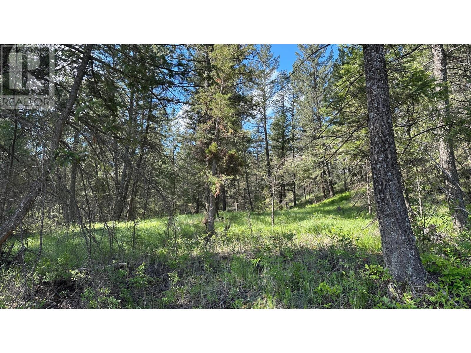 Lot 18 Rio Vista Point Lot# 18, Fairmont Hot Springs, British Columbia  V0B 1L2 - Photo 21 - 10339752