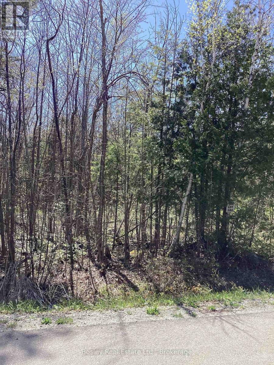 Lot 184 Champlain Road, Tiny, Ontario  L9M 1S1 - Photo 2 - S12012439
