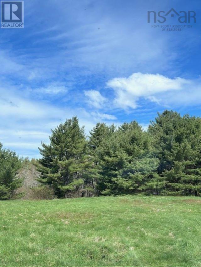 Brier Hill Road, Upper Clyde, Nova Scotia  B0T 1W0 - Photo 11 - 202505394