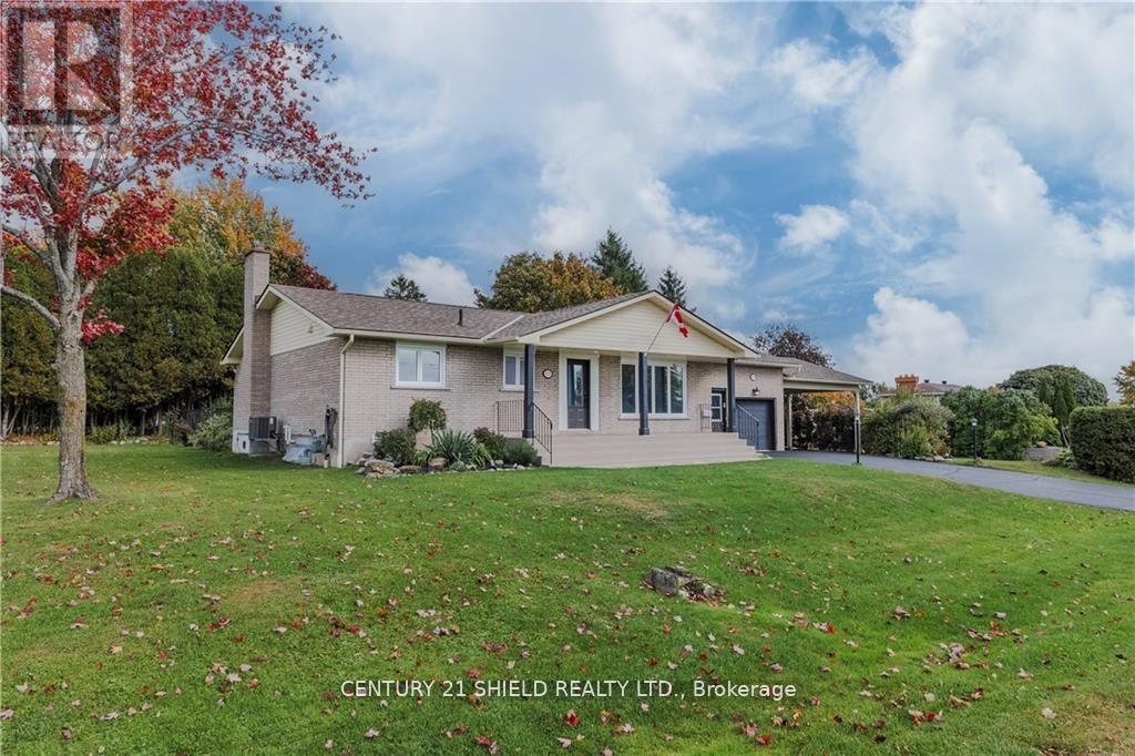 Property at 3331 SUNNYVIEW AVENUE image 3