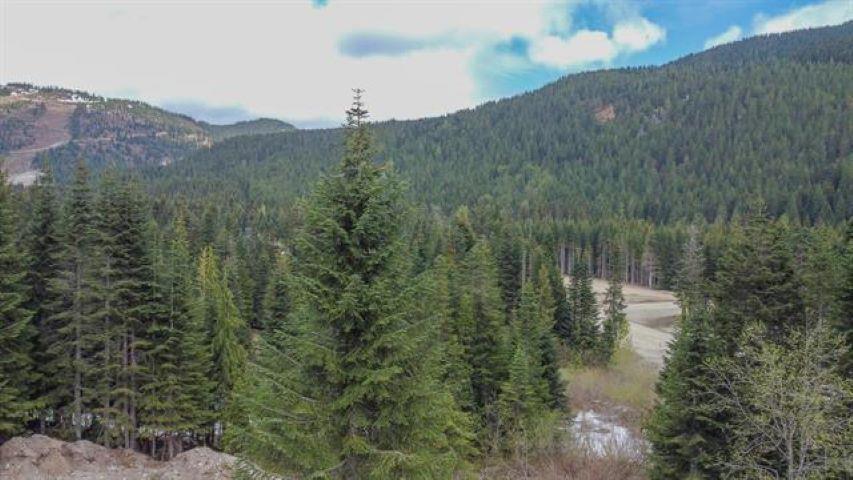 20488 Edelweiss Drive, Mission, British Columbia  V0M 1A1 - Photo 9 - R2980181
