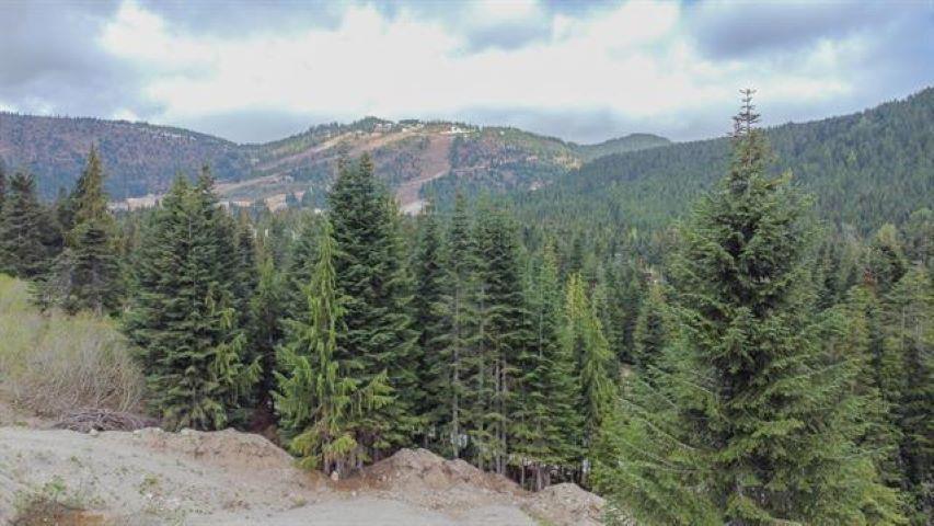 20488 Edelweiss Drive, Mission, British Columbia  V0M 1A1 - Photo 8 - R2980181