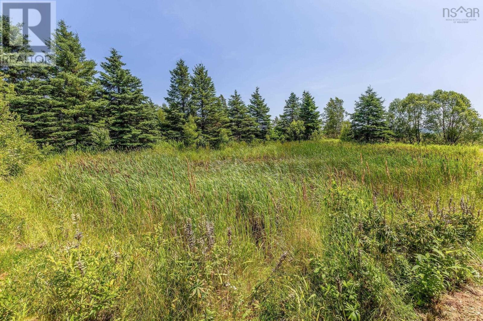 4776 Highway 4, Greenhill, Nova Scotia  B0K 2A0 - Photo 45 - 202505405