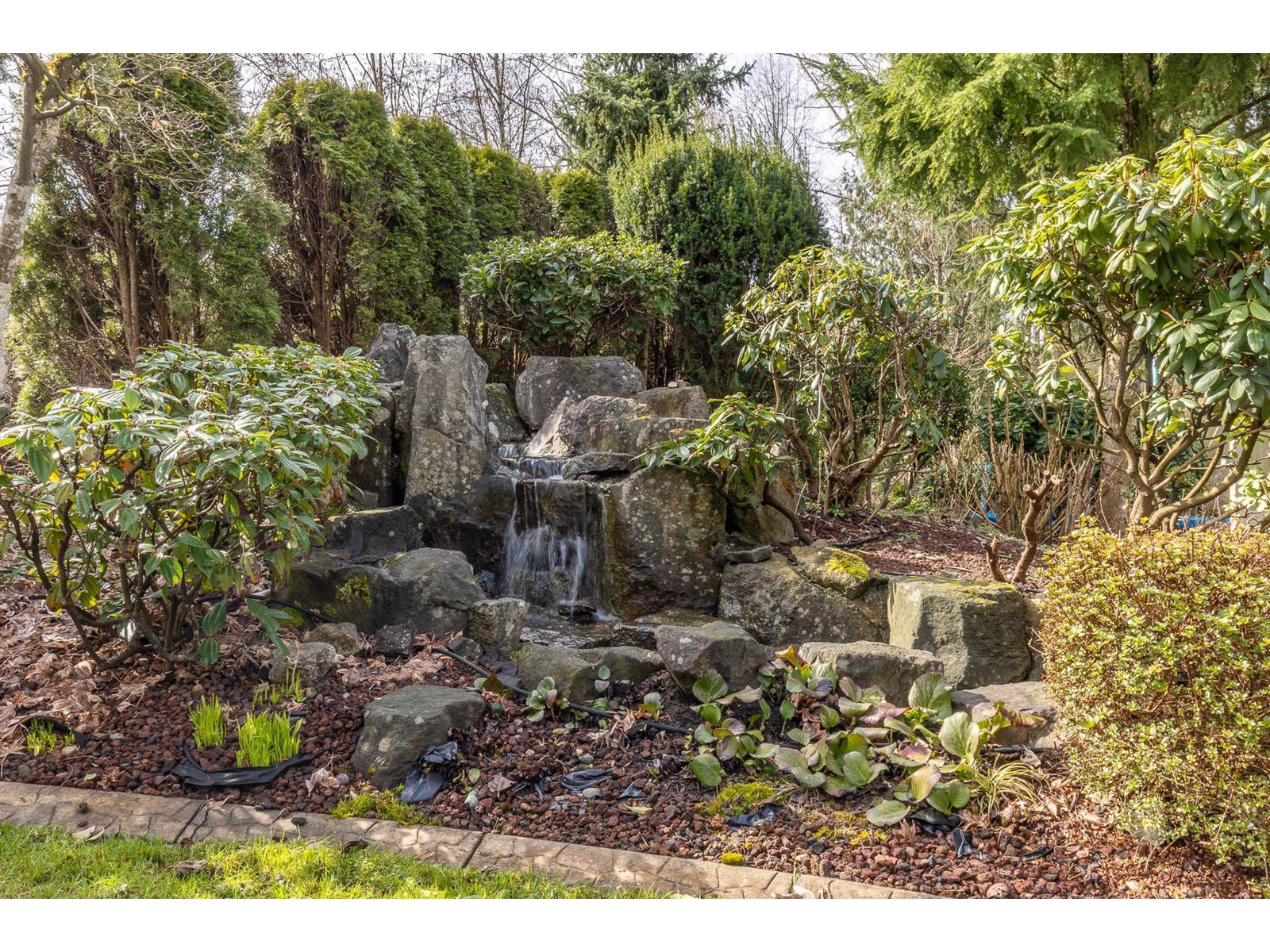11239 162 Street, Surrey, British Columbia  V4N 4P6 - Photo 39 - R2979004