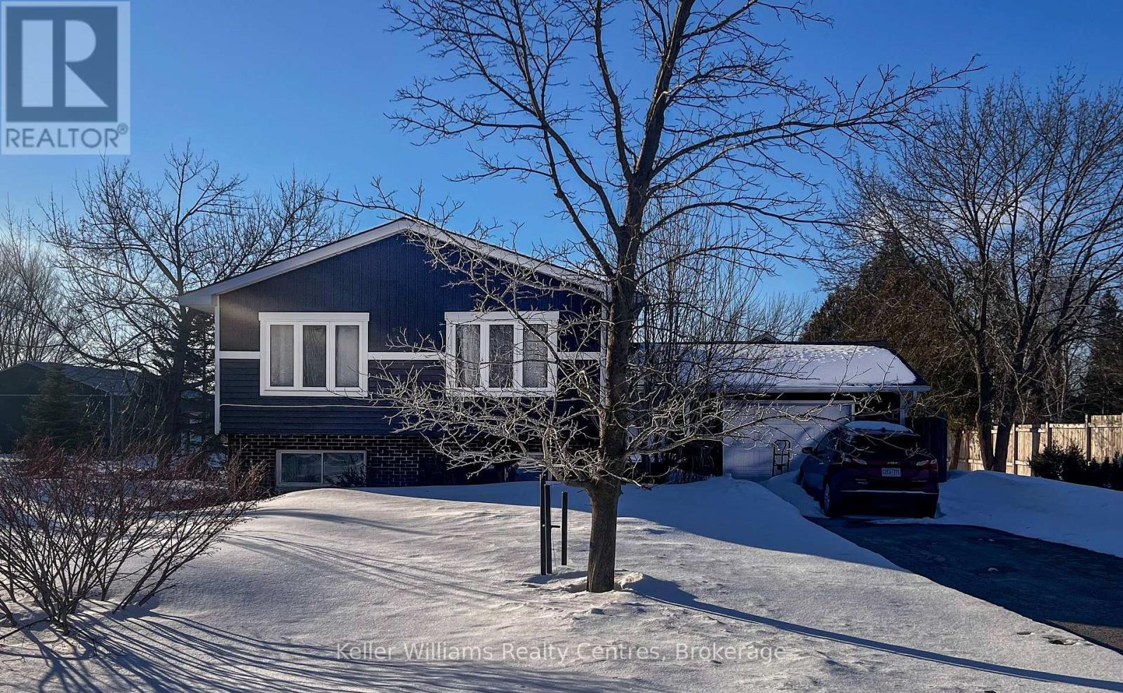 Property at 115 CARLISLE STREET image