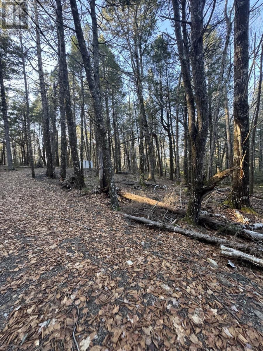 Lot 39 & 40 Beaver Dam Crossover, Labelle, Nova Scotia  B0T 1E0 - Photo 11 - 202505408