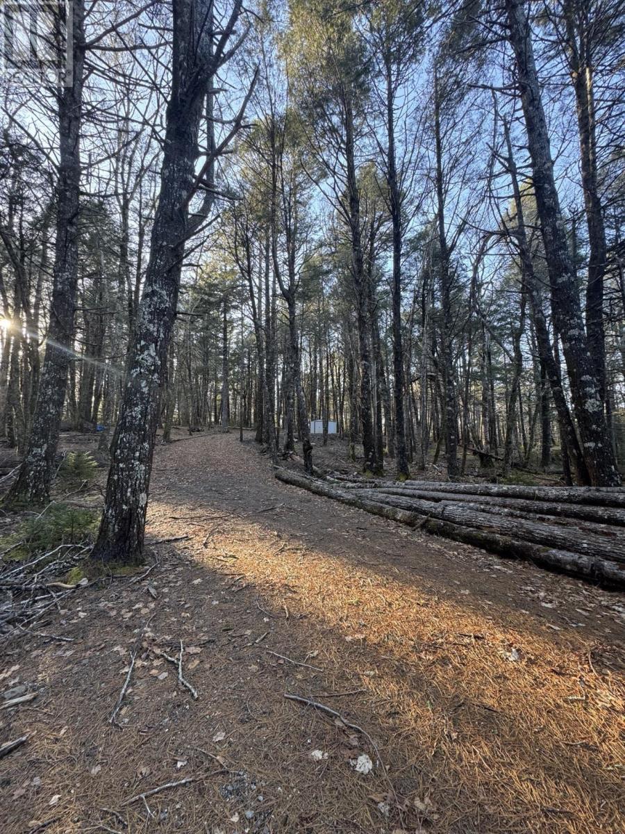 Lot 39 & 40 Beaver Dam Crossover, Labelle, Nova Scotia  B0T 1E0 - Photo 12 - 202505408