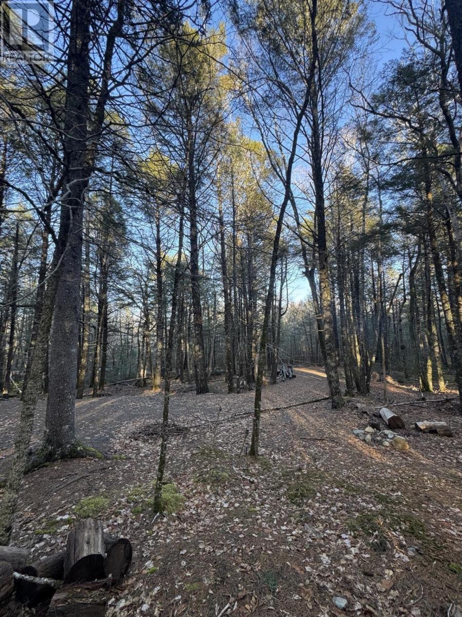 Lot 39 & 40 Beaver Dam Crossover, Labelle, Nova Scotia  B0T 1E0 - Photo 3 - 202505408