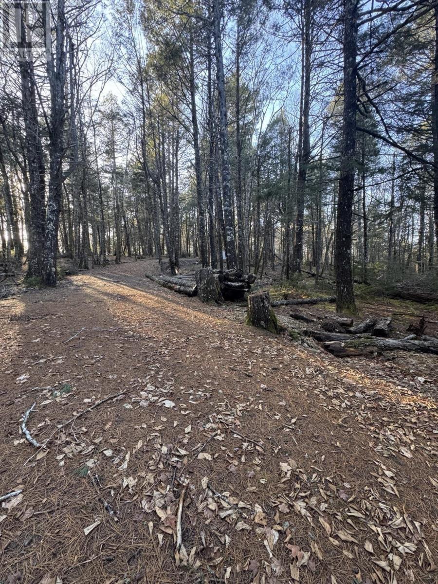 Lot 39 & 40 Beaver Dam Crossover, Labelle, Nova Scotia  B0T 1E0 - Photo 4 - 202505408