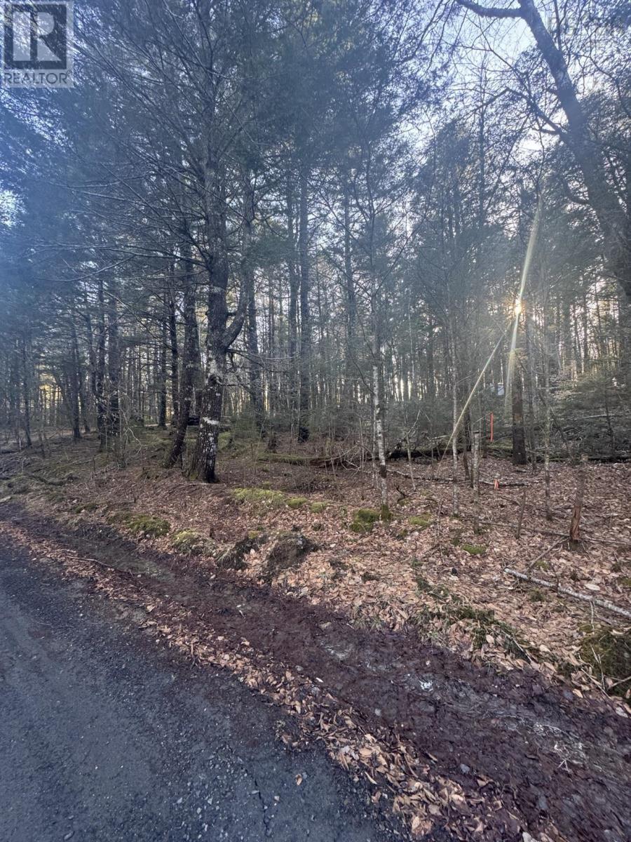 Lot 39 & 40 Beaver Dam Crossover, Labelle, Nova Scotia  B0T 1E0 - Photo 5 - 202505408