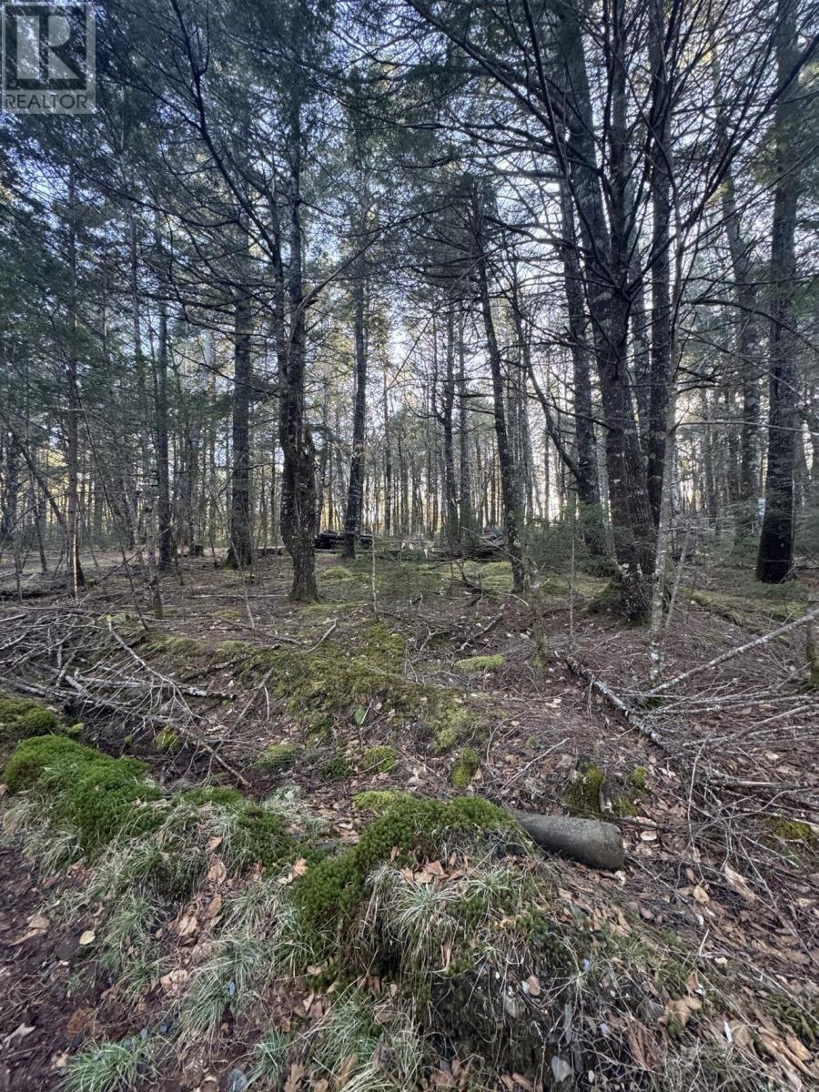 Lot 39 & 40 Beaver Dam Crossover, Labelle, Nova Scotia  B0T 1E0 - Photo 7 - 202505408