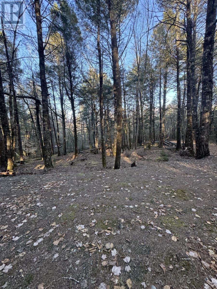 Lot 39 & 40 Beaver Dam Crossover, Labelle, Nova Scotia  B0T 1E0 - Photo 8 - 202505408
