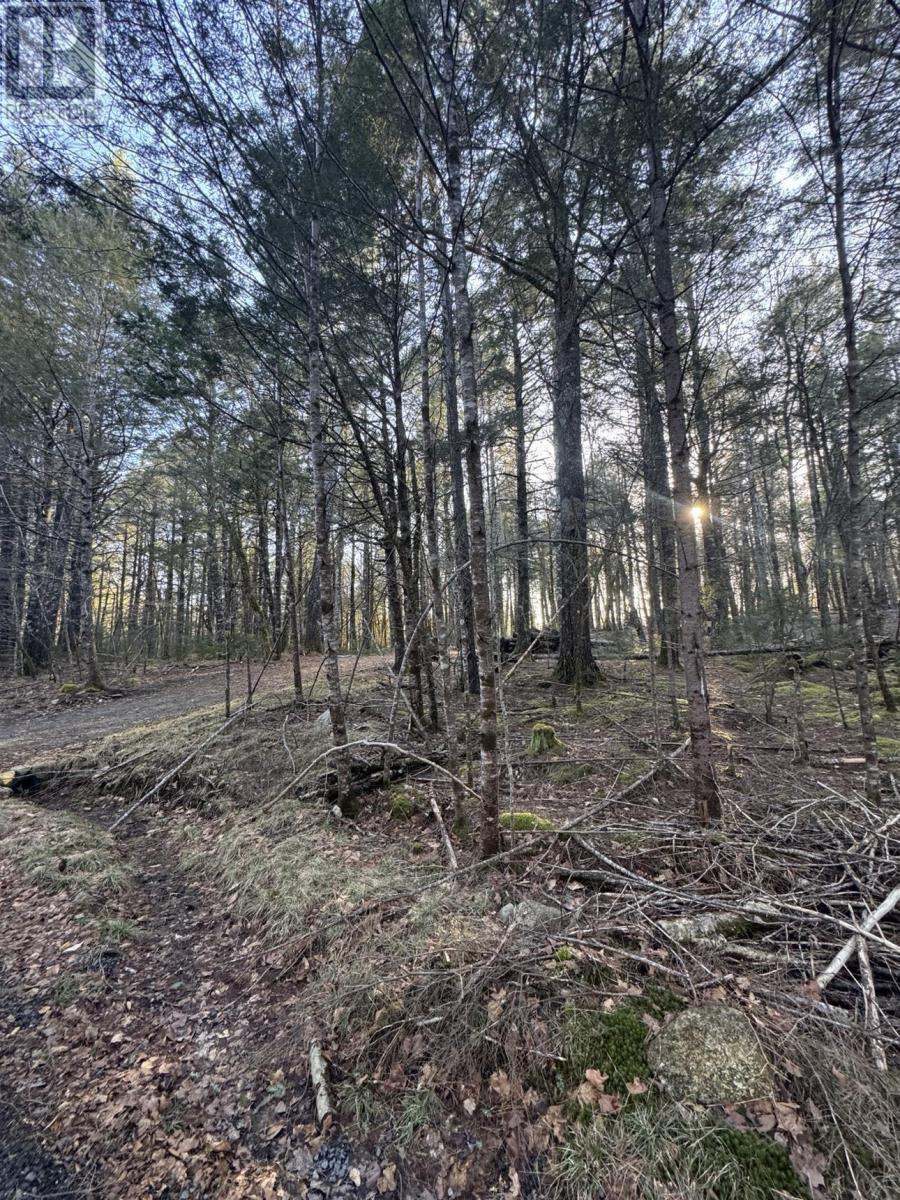 Lot 39 & 40 Beaver Dam Crossover, Labelle, Nova Scotia  B0T 1E0 - Photo 9 - 202505408