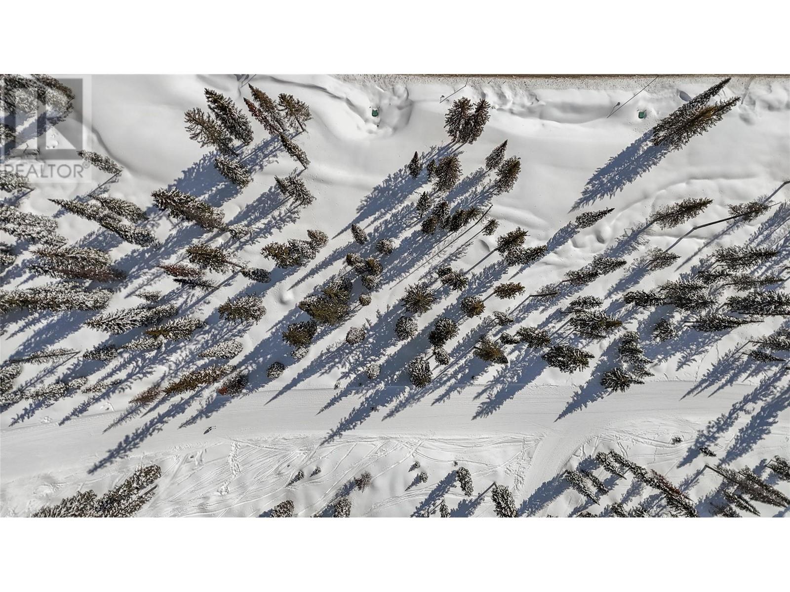 4 Black Forest Road Lot# 4 Dl 4257, Big White, British Columbia   - Photo 8 - 10339827