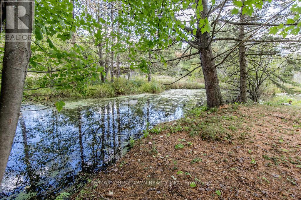 776 Monck Road, Kawartha Lakes (Dalton), Ontario  L0K 1W0 - Photo 4 - X12032442