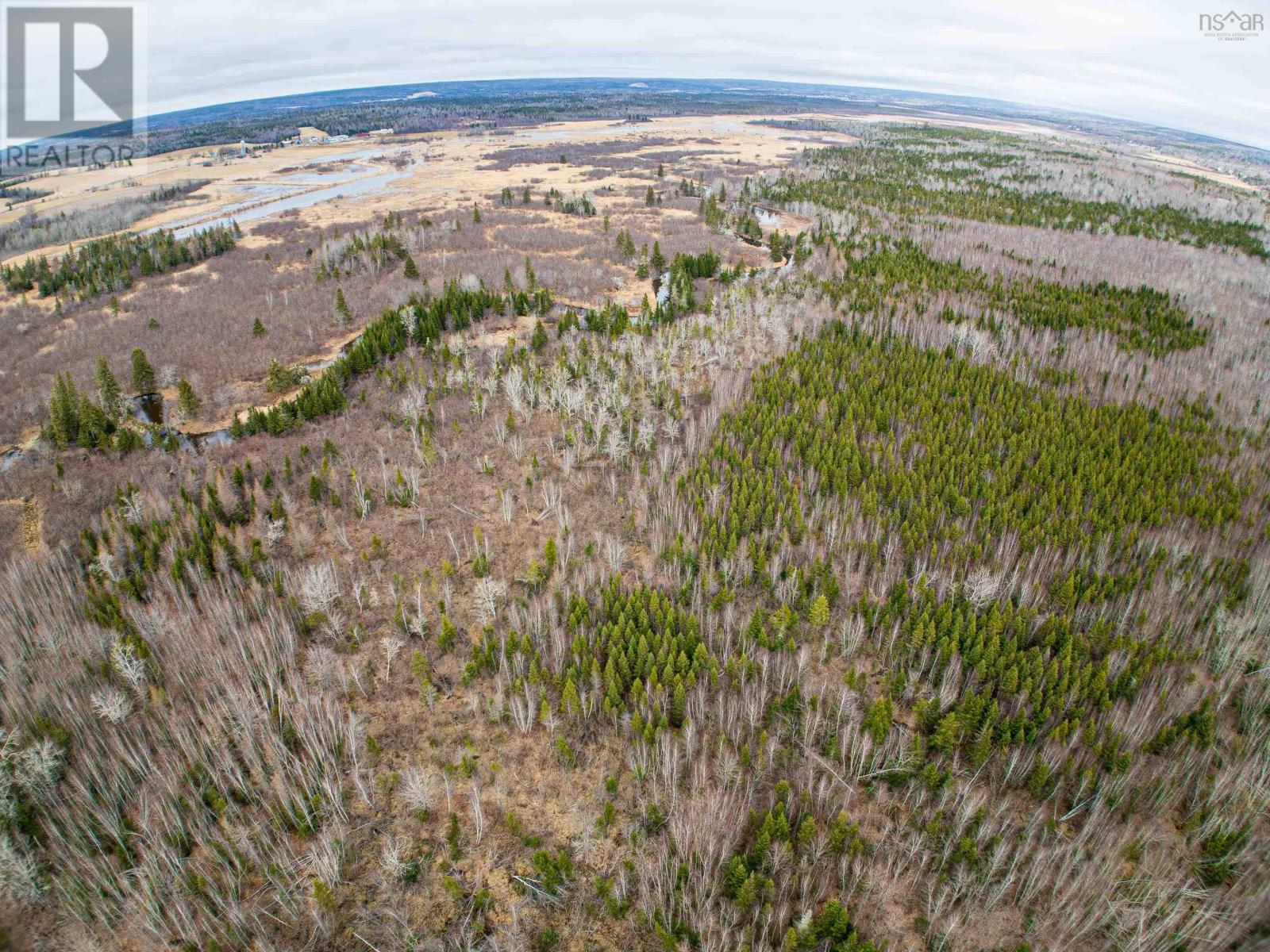 Lot Meadowvale Road, South Branch, Nova Scotia  B0N 2P0 - Photo 9 - 202505248