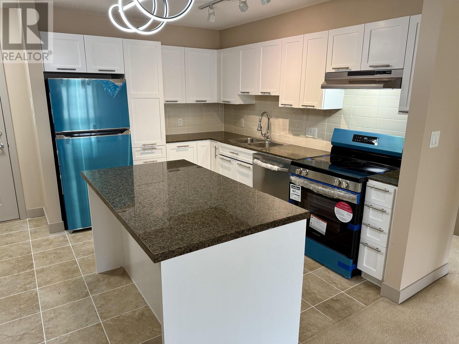 202 19673 Meadow Gardens Way, Pitt Meadows, British Columbia  V3Y 0A1 - Photo 5 - R2970302