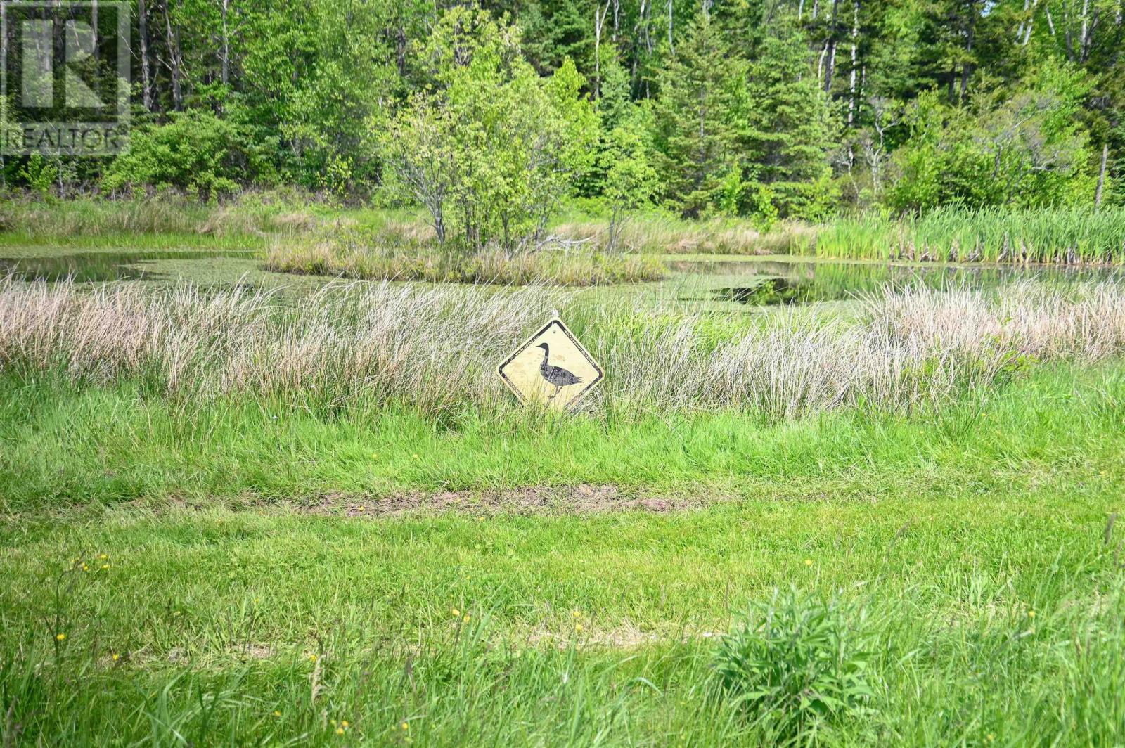 2380 Highway 360, Harbourville, Nova Scotia  B0P 1J0 - Photo 35 - 202505320