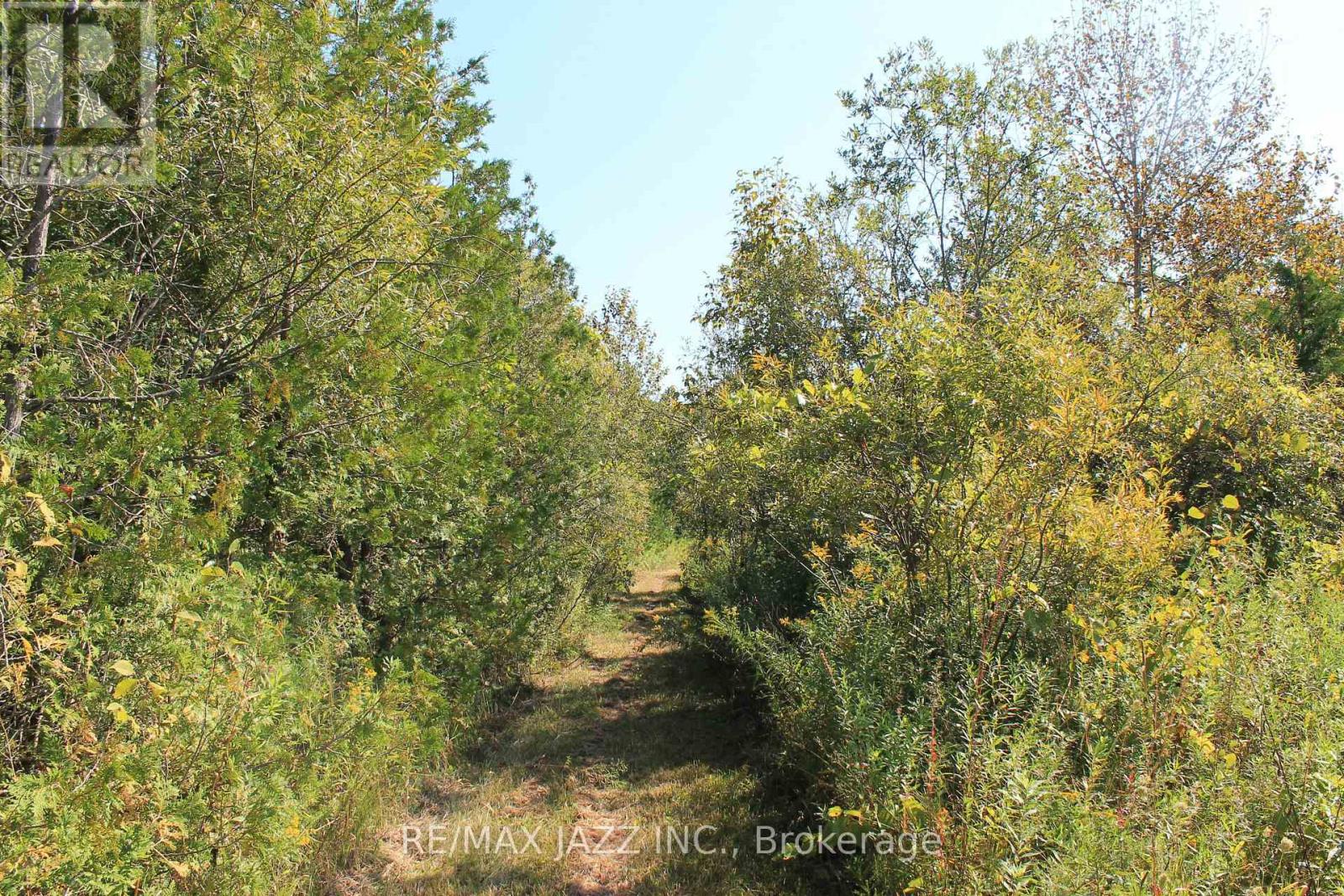 0 Mitchell Road, Cramahe, Ontario  K0K 1S0 - Photo 14 - X12032652