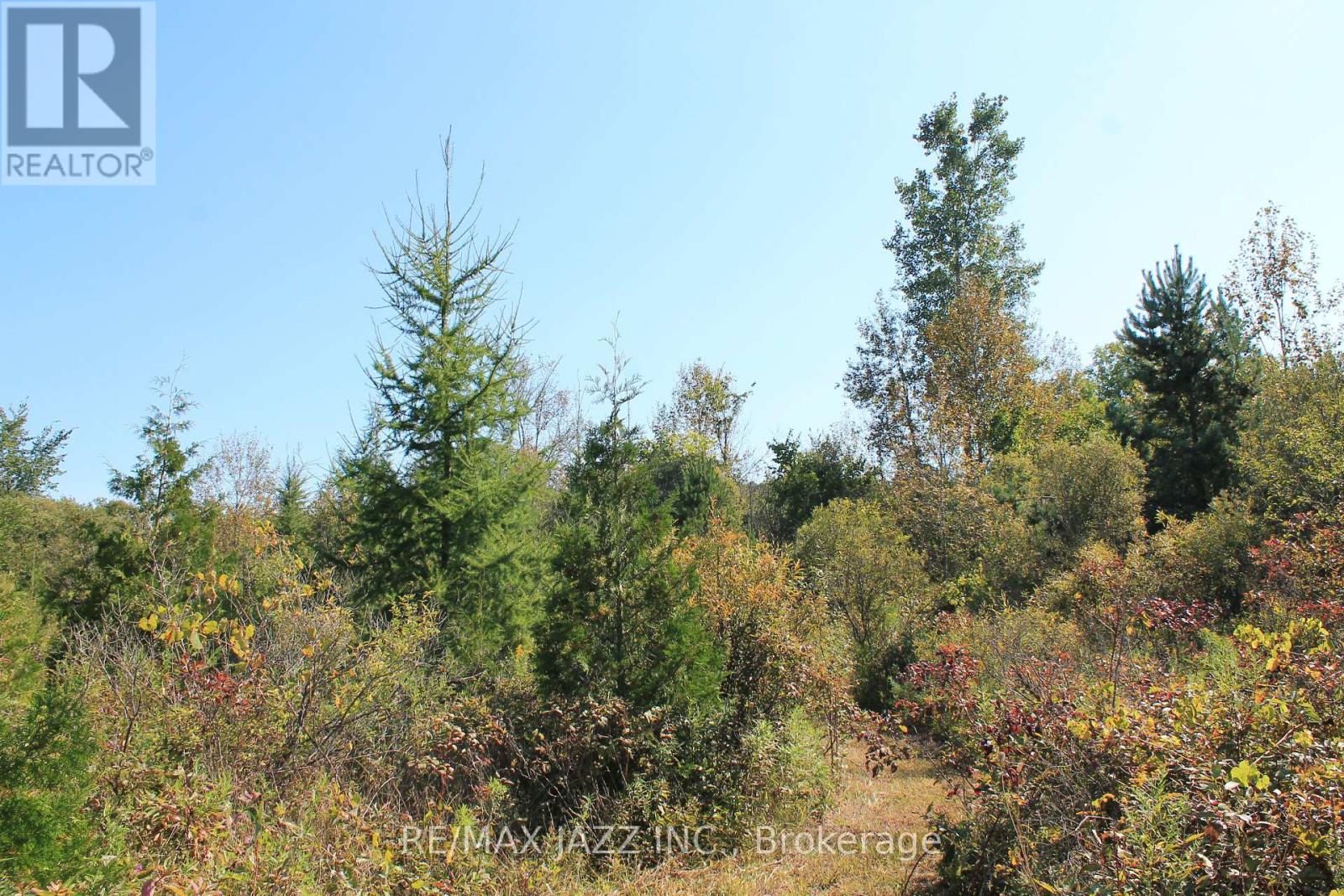 0 Mitchell Road, Cramahe, Ontario  K0K 1S0 - Photo 17 - X12032652