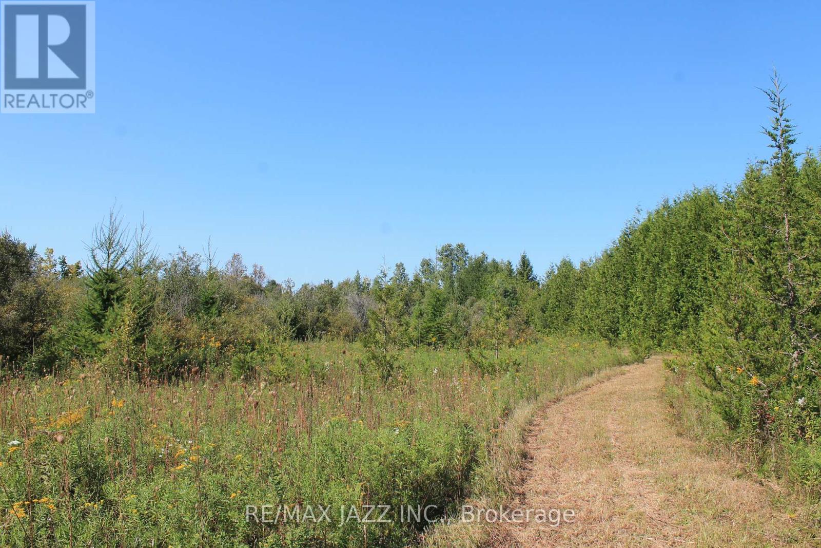 0 Mitchell Road, Cramahe, Ontario  K0K 1S0 - Photo 8 - X12032652